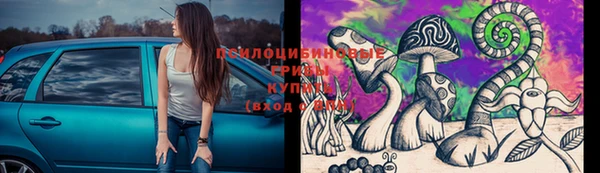 прущие крисы Алексеевка