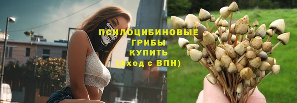 твердый Алексин