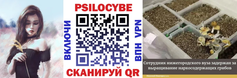 Галлюциногенные грибы прущие грибы  Абакан 
